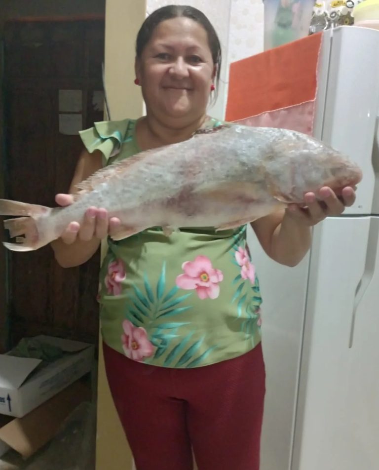 Transparência